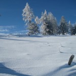 sneeuw-omgeving